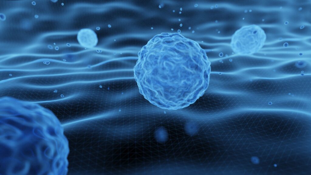 stem cell therapy in Mexico 3D rendering of embryonic stem cells