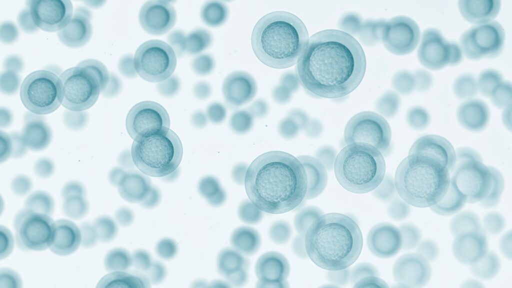 what are exosomes computer-generated image of cells on a white background