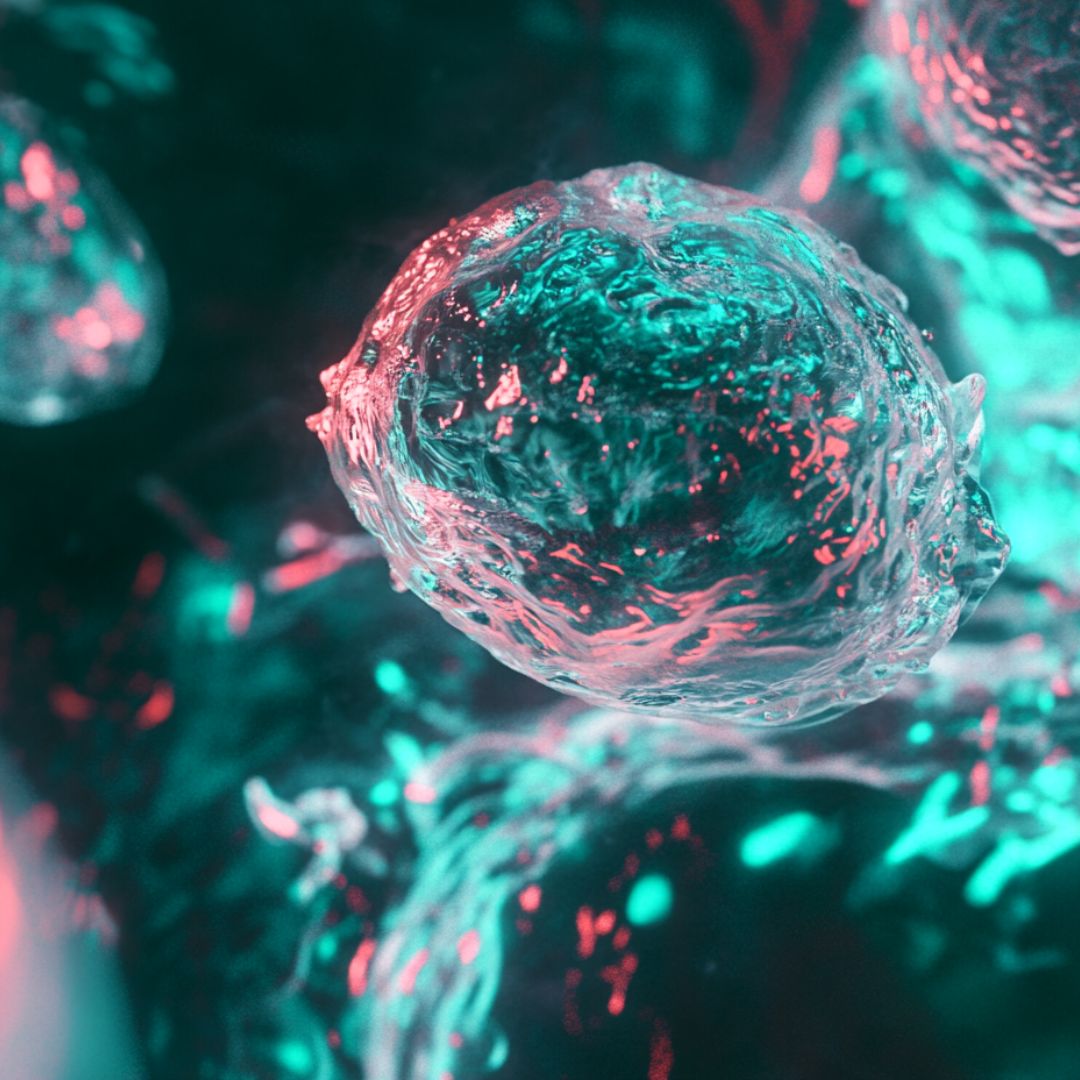 computer-generated image of a mesenchymal stem cell