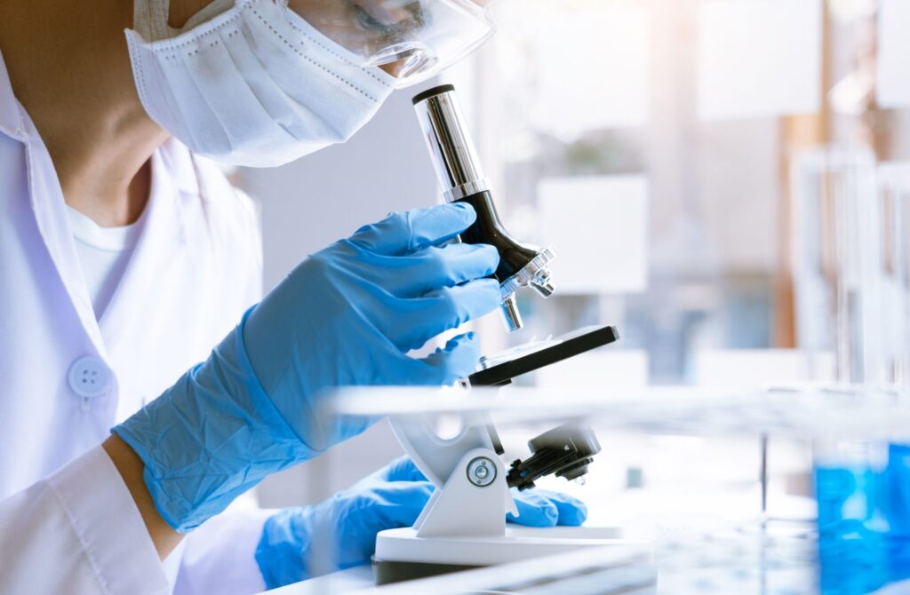 stem cell longevity