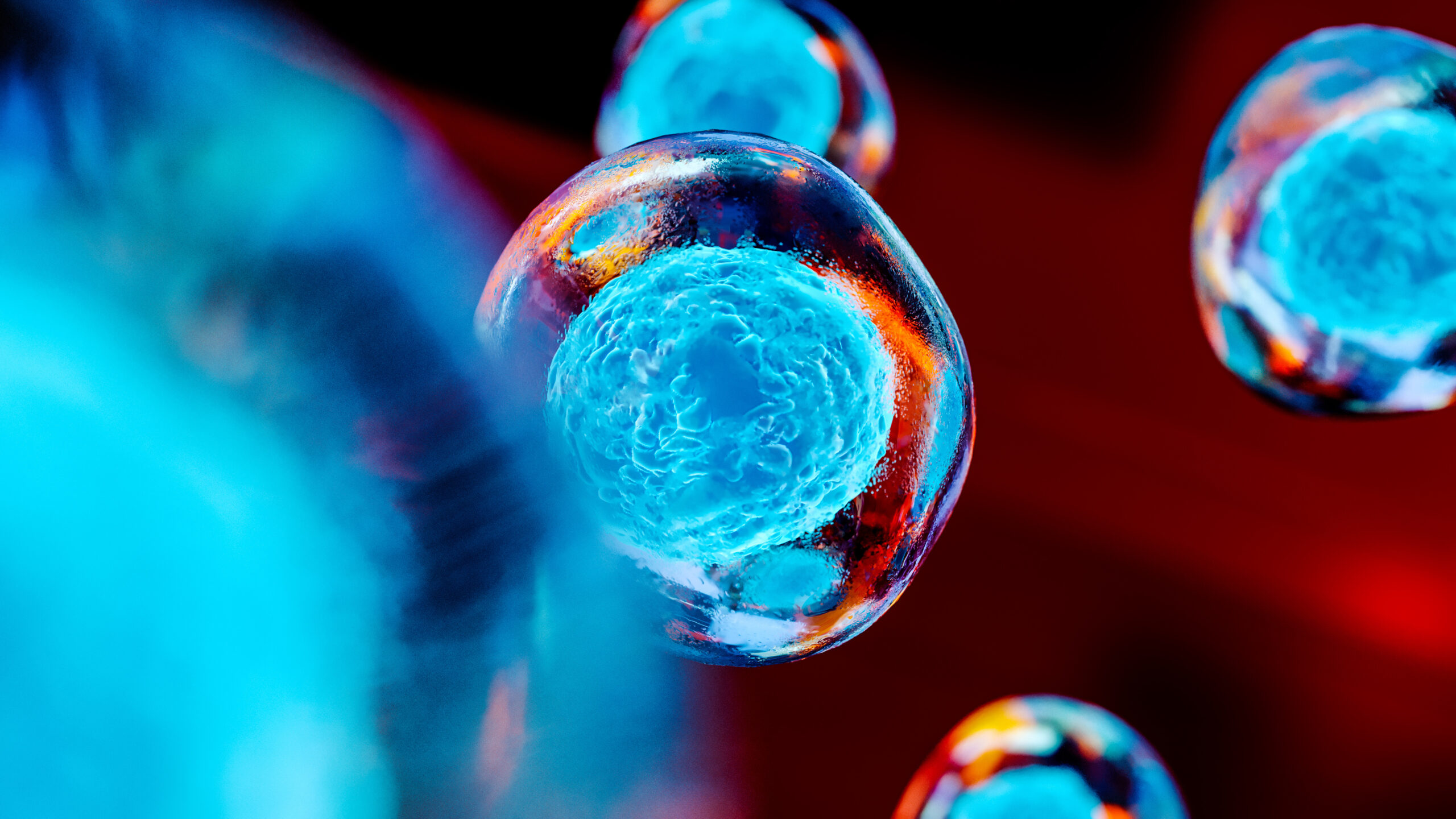 What Are Mesenchymal Stem Cells What Are Mesenchymal Stem Cells and How Do They Work?