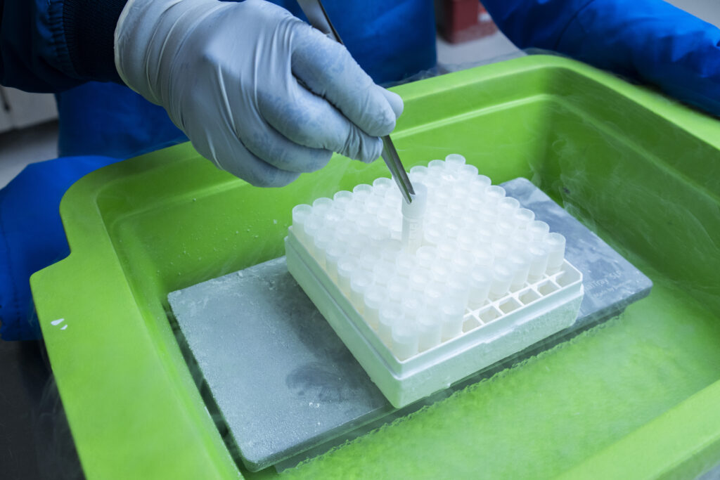 Stem Cell Institute Laboratory Vials